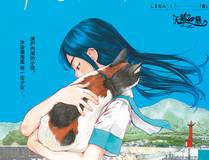 剑道无双封面